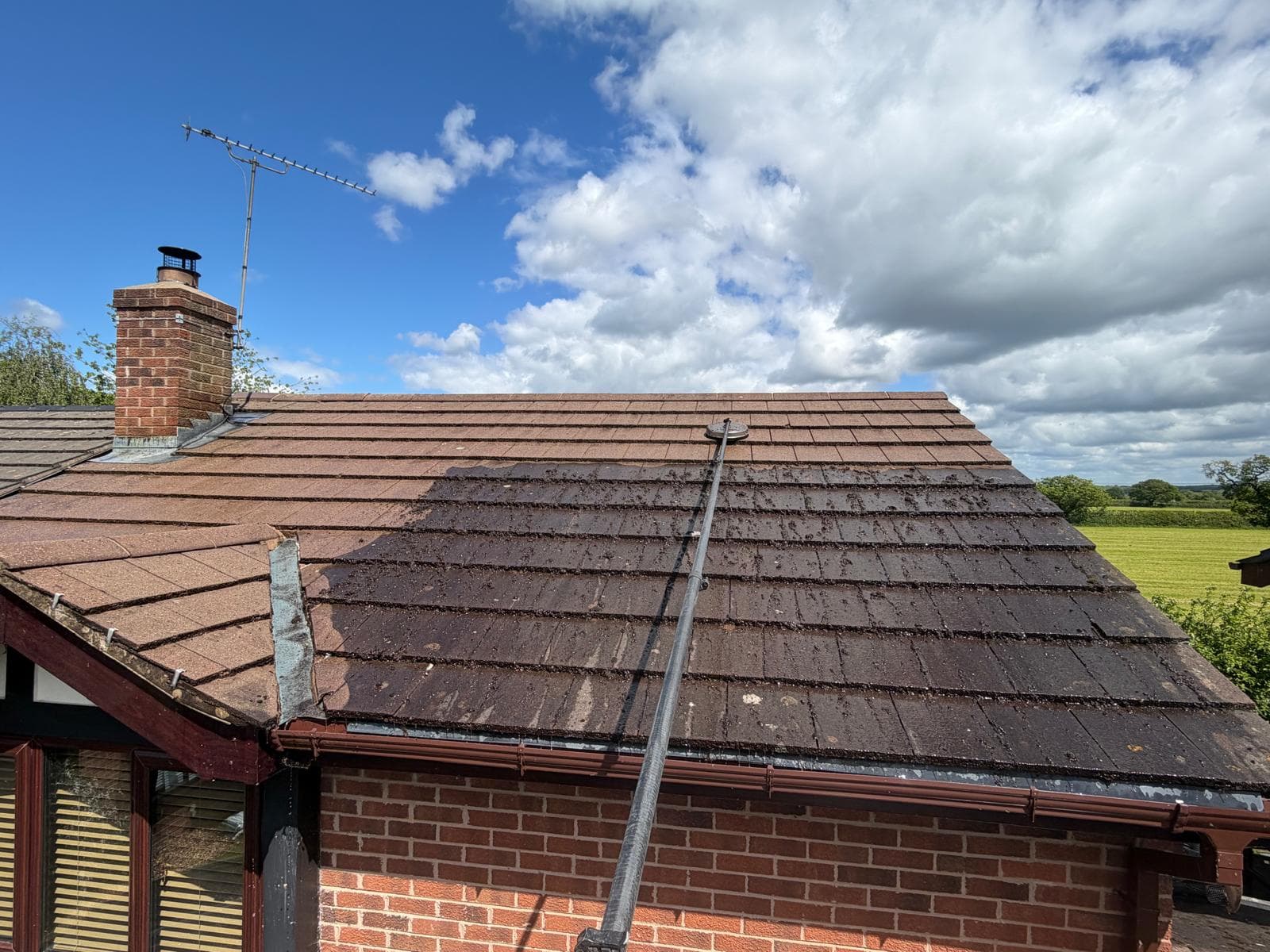 Exterior roof cleaning service on a residential property